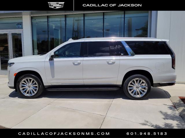 2024 Cadillac Escalade ESV Vehicle Photo in RIDGELAND, MS 39157-4406