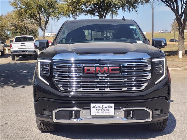 2025 GMC Sierra 1500 Vehicle Photo in Denton, TX 76205