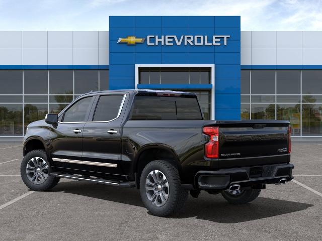 2024 Chevrolet Silverado 1500 Vehicle Photo in POST FALLS, ID 83854-5365