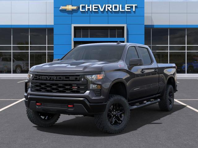 2024 Chevrolet Silverado 1500 Vehicle Photo in POST FALLS, ID 83854-5365