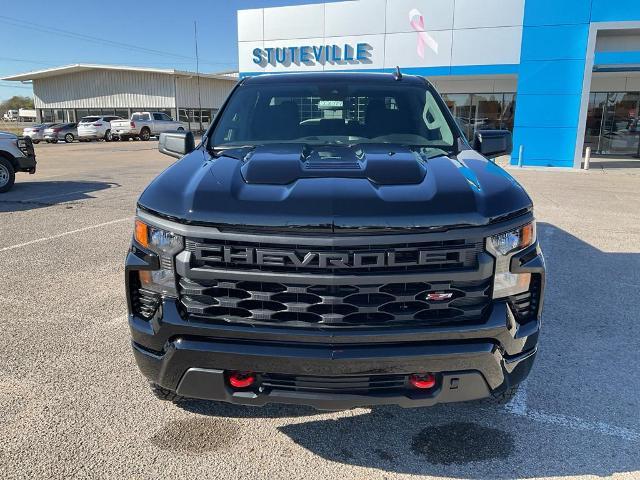 2025 Chevrolet Silverado 1500 Vehicle Photo in PONCA CITY, OK 74601-1036