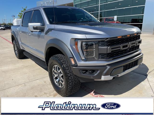2022 Ford F-150 Vehicle Photo in Terrell, TX 75160