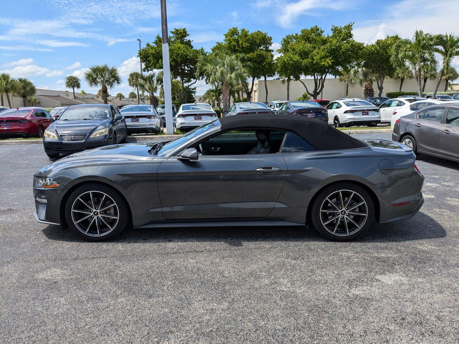 2019 Ford Mustang Vehicle Photo in Miami, FL 33015