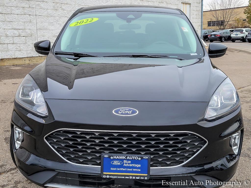 2022 Ford Escape Vehicle Photo in Saint Charles, IL 60174