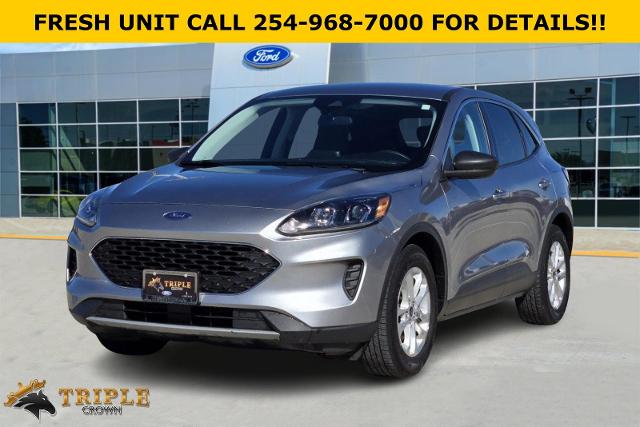 2022 Ford Escape Vehicle Photo in STEPHENVILLE, TX 76401-3713