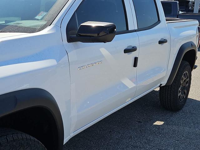 2024 Chevrolet Colorado Vehicle Photo in SAN ANGELO, TX 76903-5798