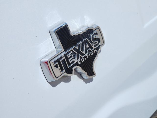 2021 Ford F-150 Vehicle Photo in Pilot Point, TX 76258