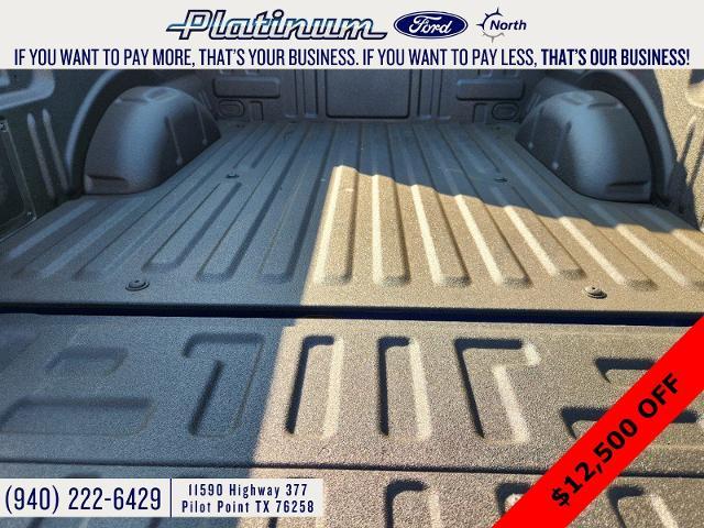 2024 Ford F-150 Vehicle Photo in Pilot Point, TX 76258