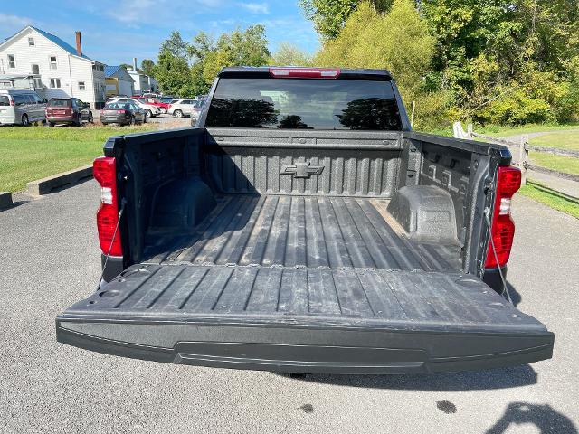 2022 Chevrolet Silverado 1500 Vehicle Photo in THOMPSONTOWN, PA 17094-9014