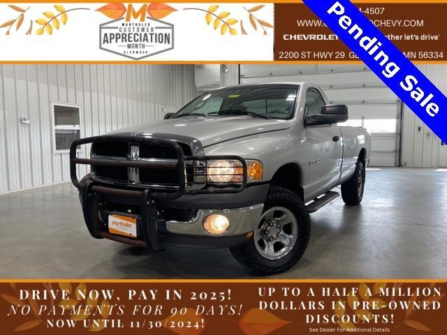 2002 Dodge Ram 1500 Vehicle Photo in GLENWOOD, MN 56334-1123