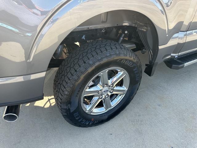 2024 Ford F-150 Vehicle Photo in Terrell, TX 75160