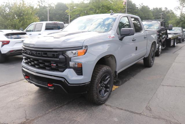 2024 Chevrolet Silverado 1500 Vehicle Photo in MONTICELLO, NY 12701-3853