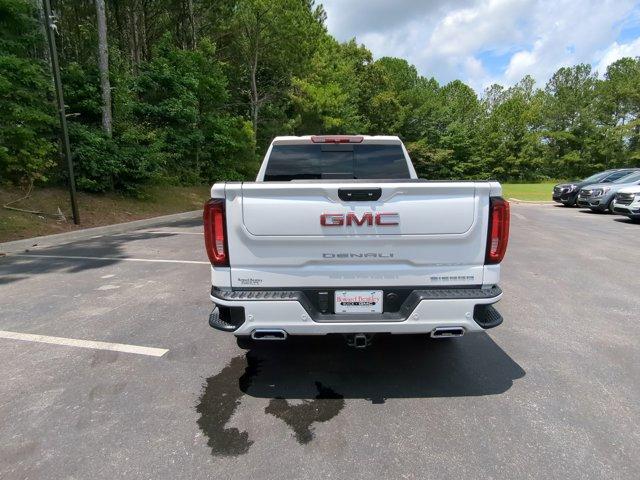 2024 GMC Sierra 1500 Vehicle Photo in ALBERTVILLE, AL 35950-0246