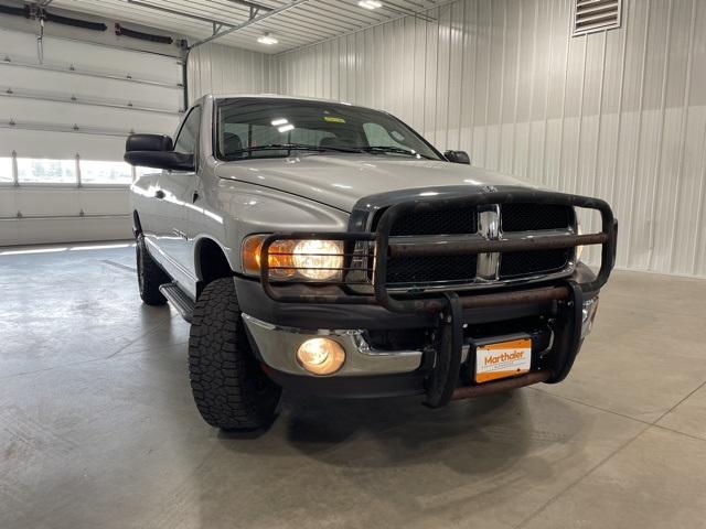 2002 Dodge Ram 1500 Vehicle Photo in GLENWOOD, MN 56334-1123