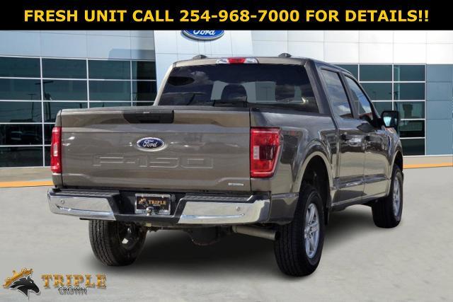 2023 Ford F-150 Vehicle Photo in STEPHENVILLE, TX 76401-3713