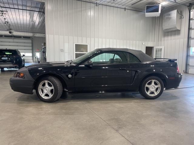 2004 Ford Mustang Vehicle Photo in GLENWOOD, MN 56334-1123