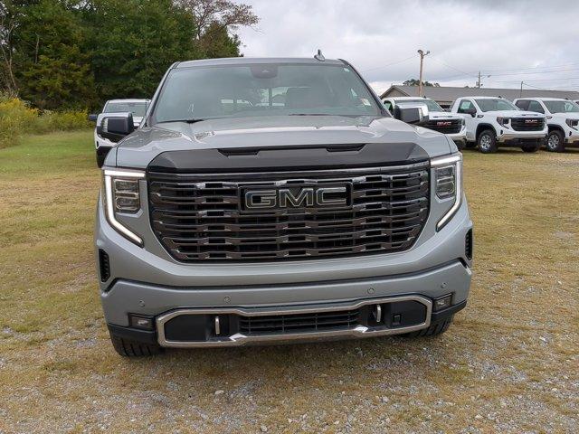 2025 GMC Sierra 1500 Vehicle Photo in ALBERTVILLE, AL 35950-0246