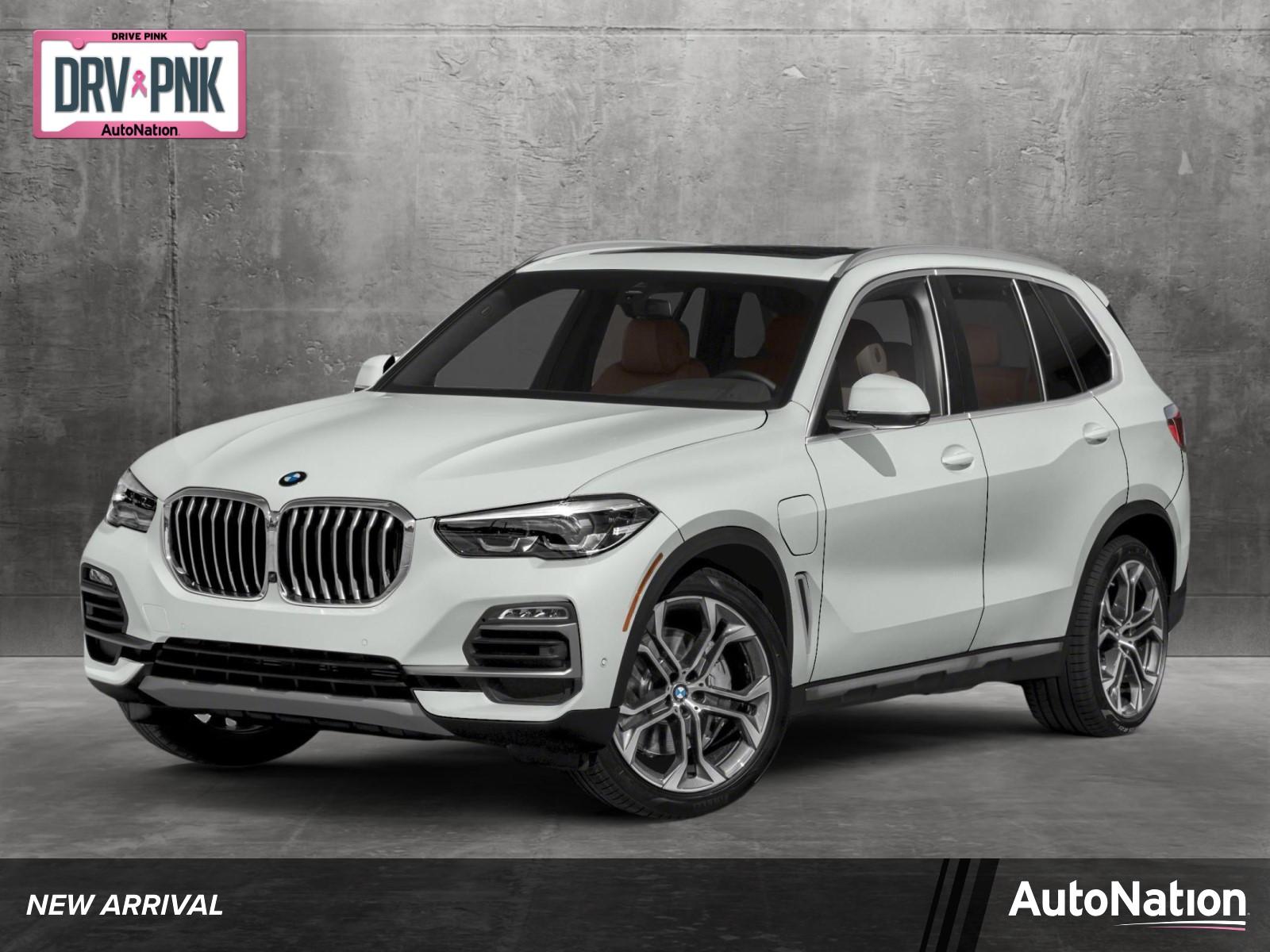 2023 BMW X5 Vehicle Photo in MIAMI, FL 33134-2699