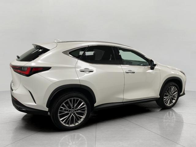 2024 Lexus NX 350h Vehicle Photo in Appleton, WI 54913