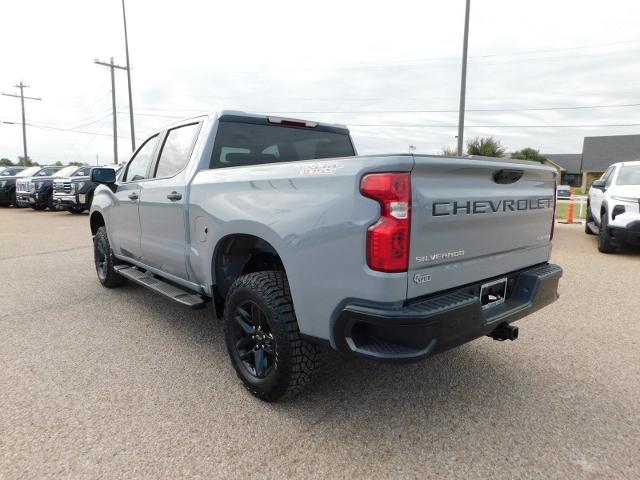 2025 Chevrolet Silverado 1500 Vehicle Photo in Weatherford, TX 76087