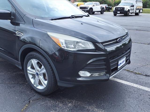 2014 Ford Escape Vehicle Photo in Saint Charles, IL 60174