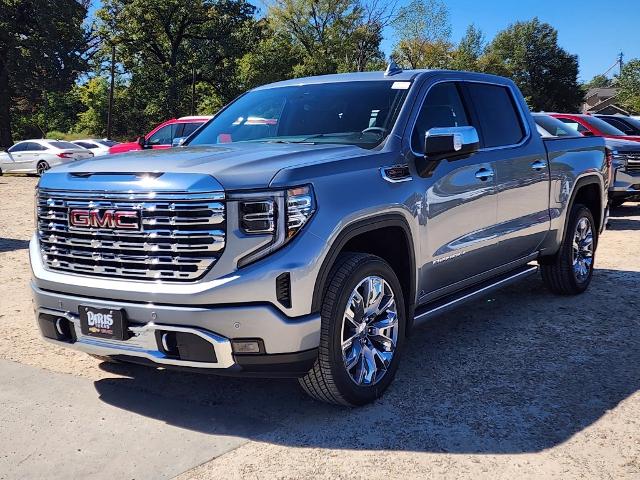 2025 GMC Sierra 1500 Vehicle Photo in PARIS, TX 75460-2116