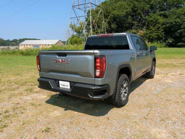 2024 GMC Sierra 1500 Vehicle Photo in ALBERTVILLE, AL 35950-0246