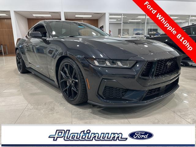 2024 Ford Mustang Vehicle Photo in Terrell, TX 75160