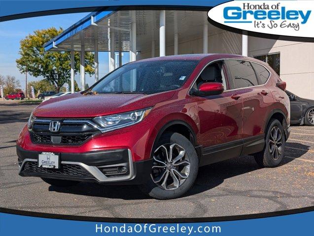 2022 Honda CR-V Vehicle Photo in Greeley, CO 80634-8763