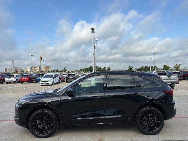 2024 Ford Escape Vehicle Photo in Terrell, TX 75160