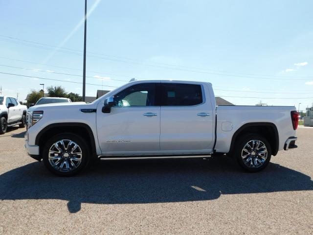 2025 GMC Sierra 1500 Vehicle Photo in Weatherford, TX 76087