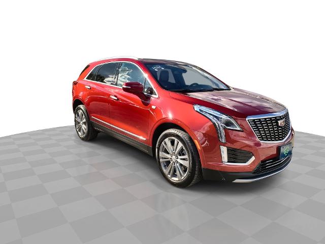 2024 Cadillac XT5 Vehicle Photo in WILLIAMSVILLE, NY 14221-2883