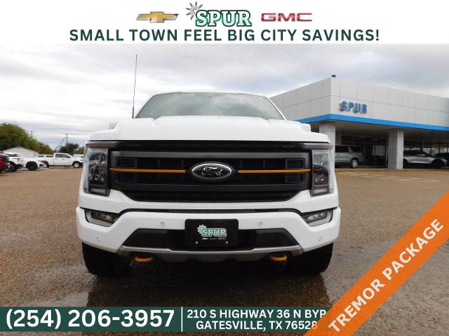 2023 Ford F-150 Vehicle Photo in GATESVILLE, TX 76528-2745