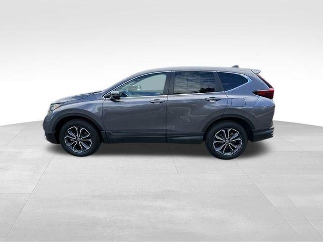 2022 Honda CR-V Vehicle Photo in MEDINA, OH 44256-9631