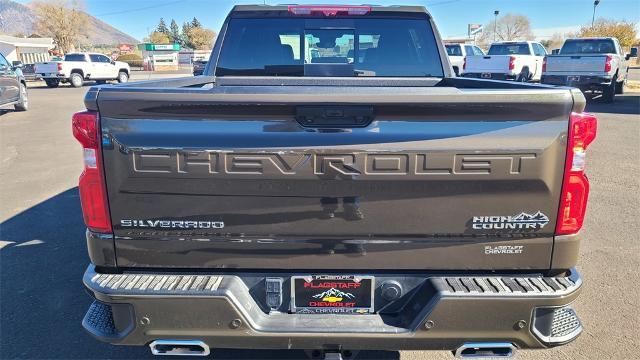 2023 Chevrolet Silverado 1500 Vehicle Photo in FLAGSTAFF, AZ 86001-6214