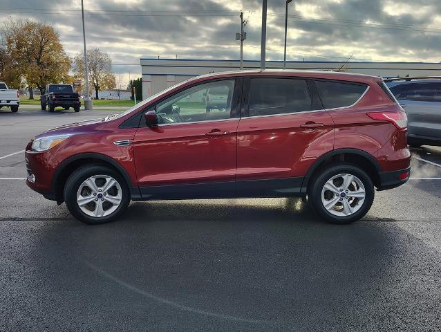 2016 Ford Escape Vehicle Photo in GREEN BAY, WI 54304-5303