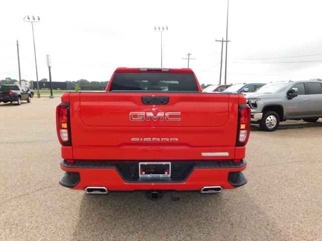 2024 GMC Sierra 1500 Vehicle Photo in GATESVILLE, TX 76528-2745