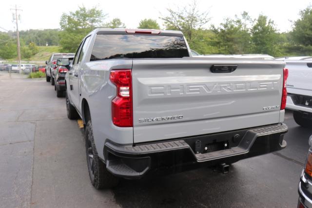 2024 Chevrolet Silverado 1500 Vehicle Photo in MONTICELLO, NY 12701-3853