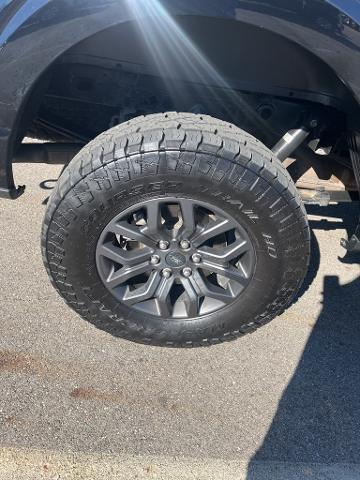 2022 Ford F-150 Vehicle Photo in Jackson, OH 45640-9766