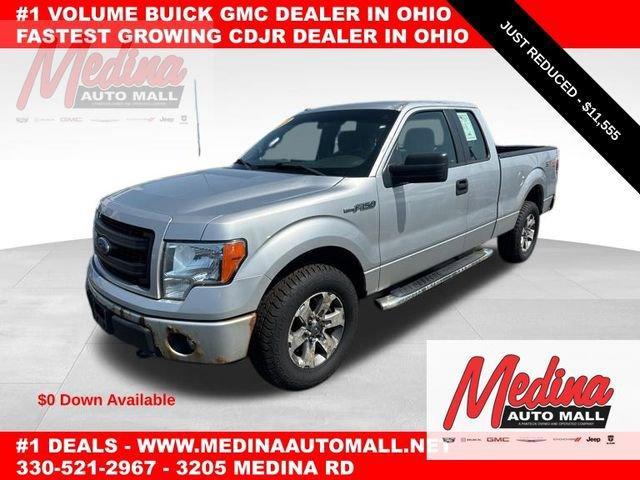 2013 Ford F-150 Vehicle Photo in MEDINA, OH 44256-9631