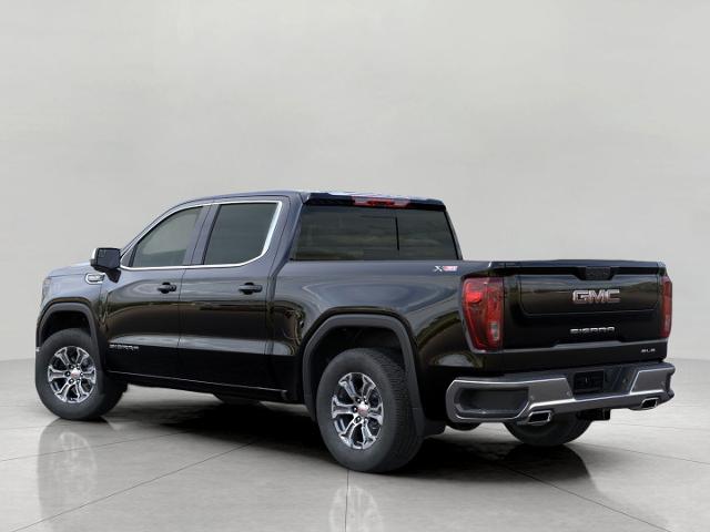 2025 GMC Sierra 1500 Vehicle Photo in GREEN BAY, WI 54303-3330