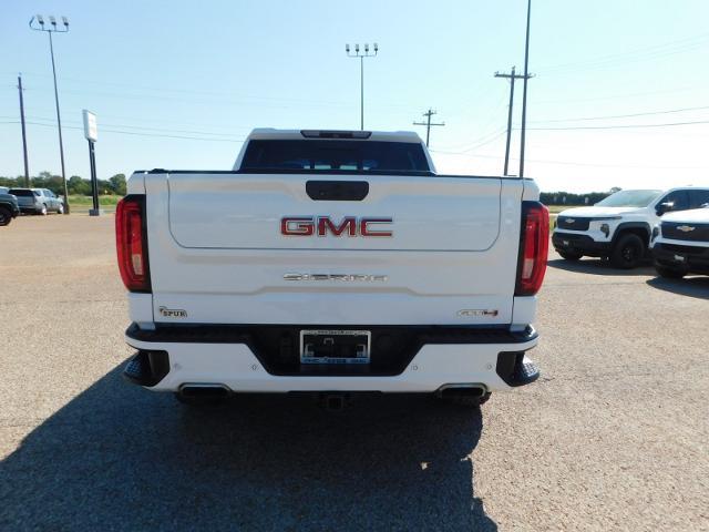 2019 GMC Sierra 1500 Vehicle Photo in GATESVILLE, TX 76528-2745