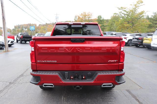 2025 Chevrolet Silverado 1500 Vehicle Photo in MONTICELLO, NY 12701-3853