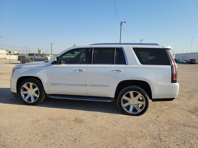 2017 Cadillac Escalade Vehicle Photo in MIDLAND, TX 79703-7718