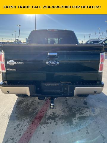 2014 Ford F-150 Vehicle Photo in STEPHENVILLE, TX 76401-3713