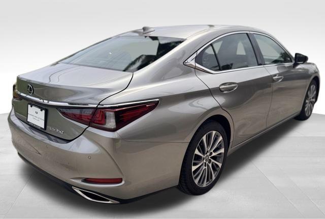 2019 Lexus ES Vehicle Photo in DELRAY BEACH, FL 33483-3294