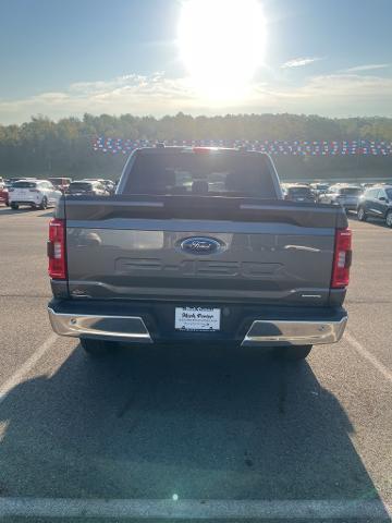 2023 Ford F-150 Vehicle Photo in Jackson, OH 45640-9766