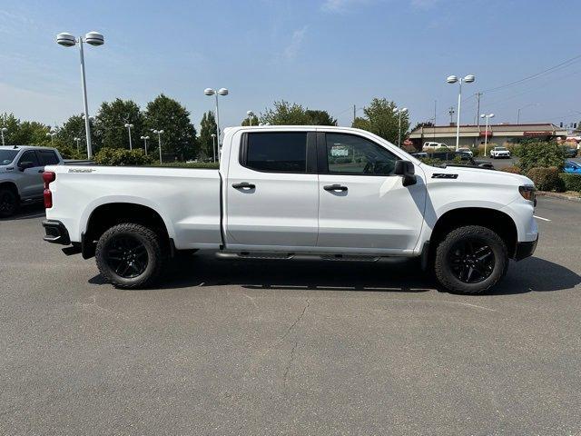 2024 Chevrolet Silverado 1500 Vehicle Photo in NEWBERG, OR 97132-1927