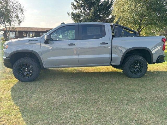 2025 Chevrolet Silverado 1500 Vehicle Photo in SAUK CITY, WI 53583-1301