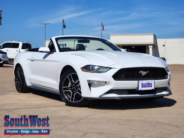 2019 Ford Mustang Vehicle Photo in Cleburne, TX 76033